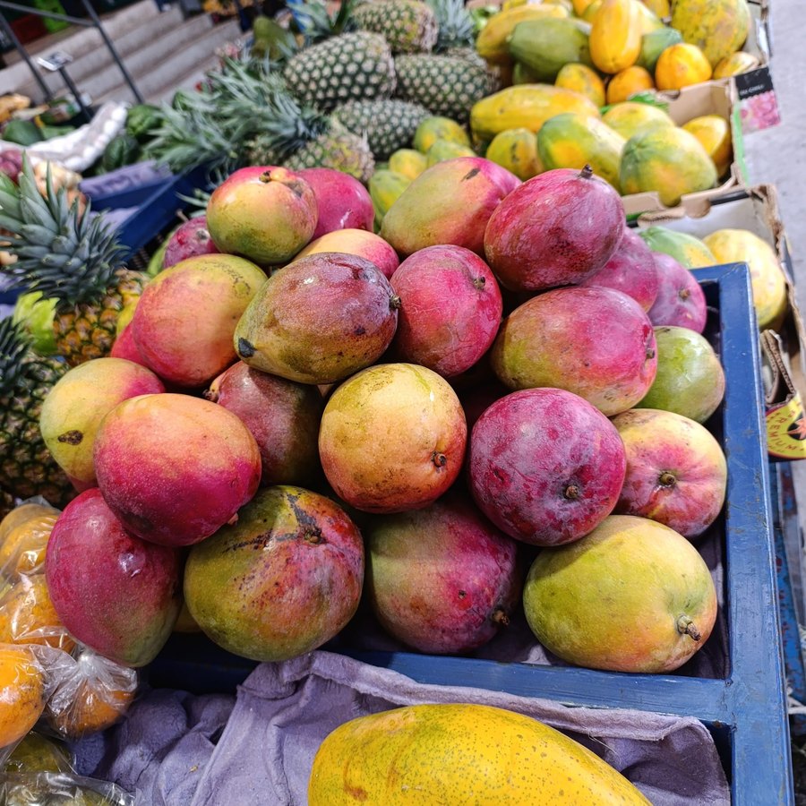 Drakfrukt, mango och passionsfrukt mot mörk bakgrund